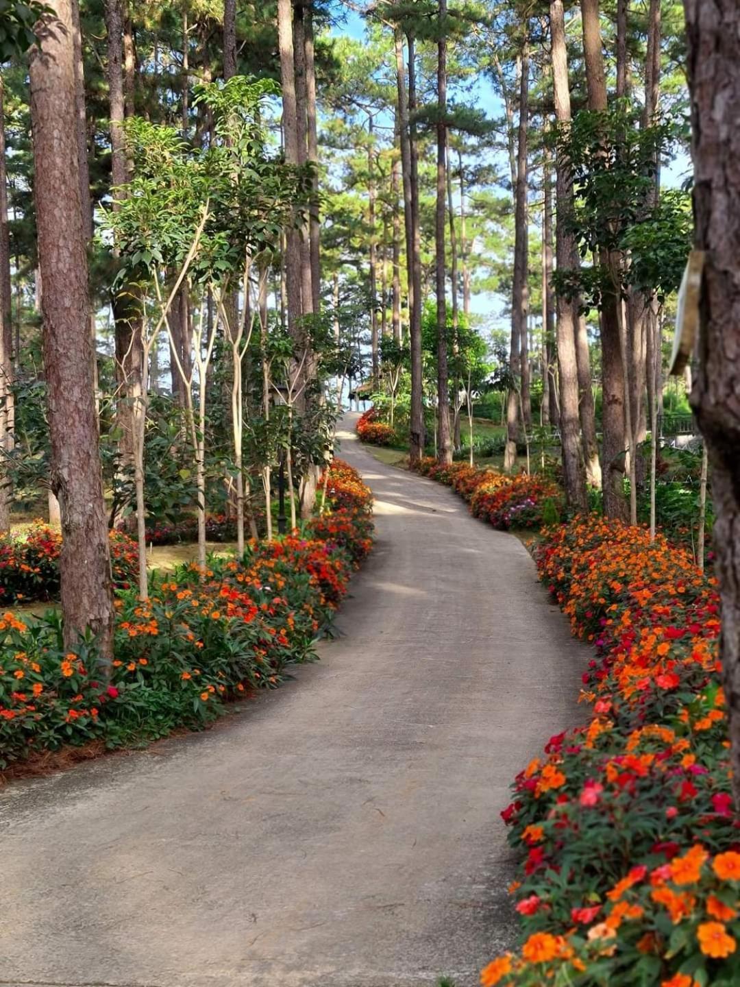 Dahlia Dalat Aparthotel Exterior foto